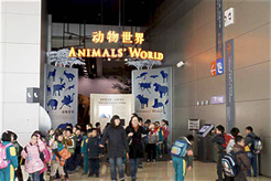 Shanghai Exhibit